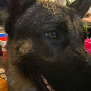 Meet your Posher, Patrina